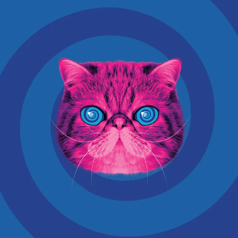 HypnoCat the pink fluffy persian reycling cat on a swirling blue background